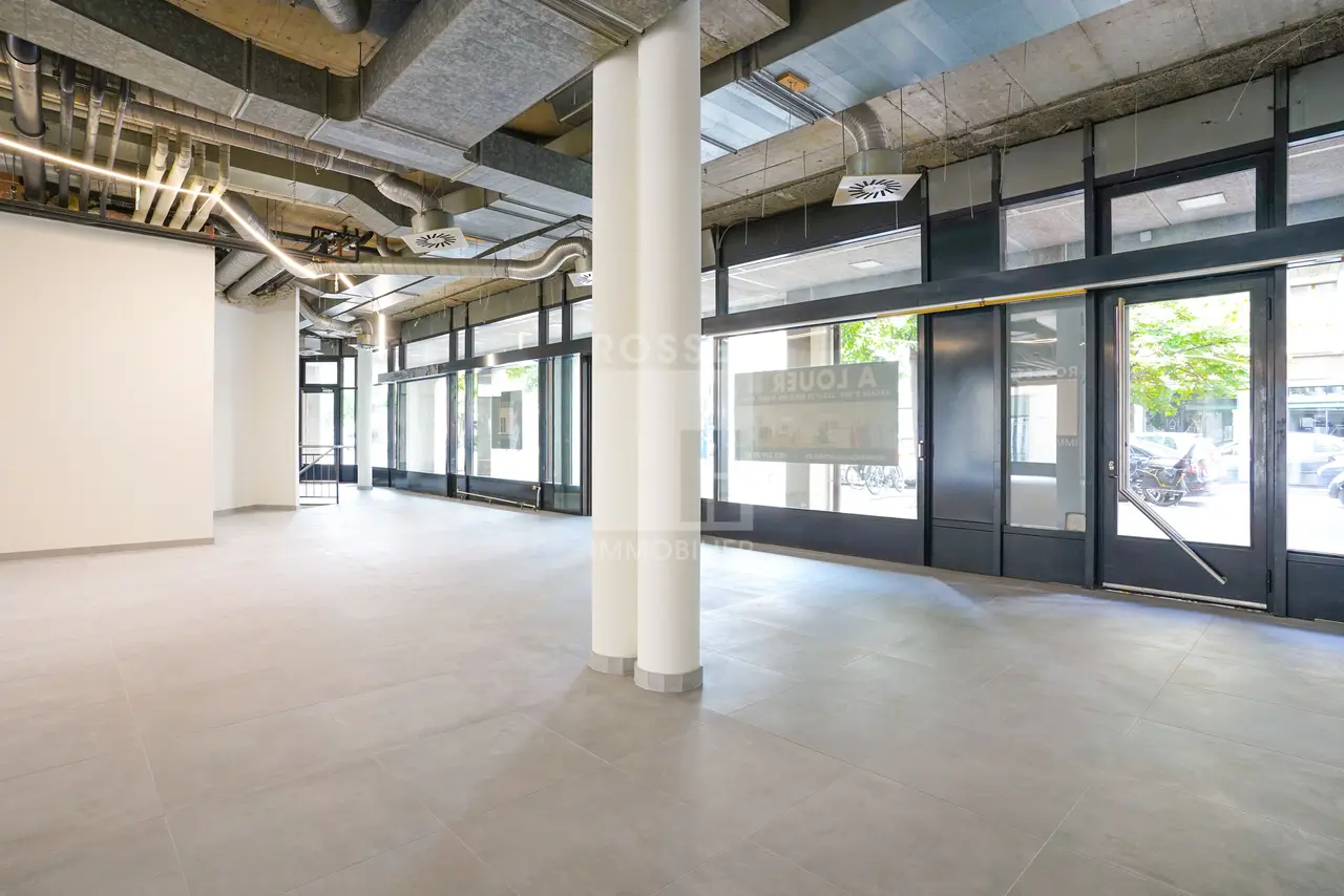 Rue Ecole-de-Médecine 11b, Plainpalais/Carl Vogt, GE - Image 5