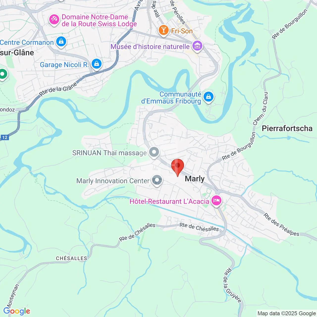 Chemin des Epinettes 39, Marly, Epinettes, FR - Image 8