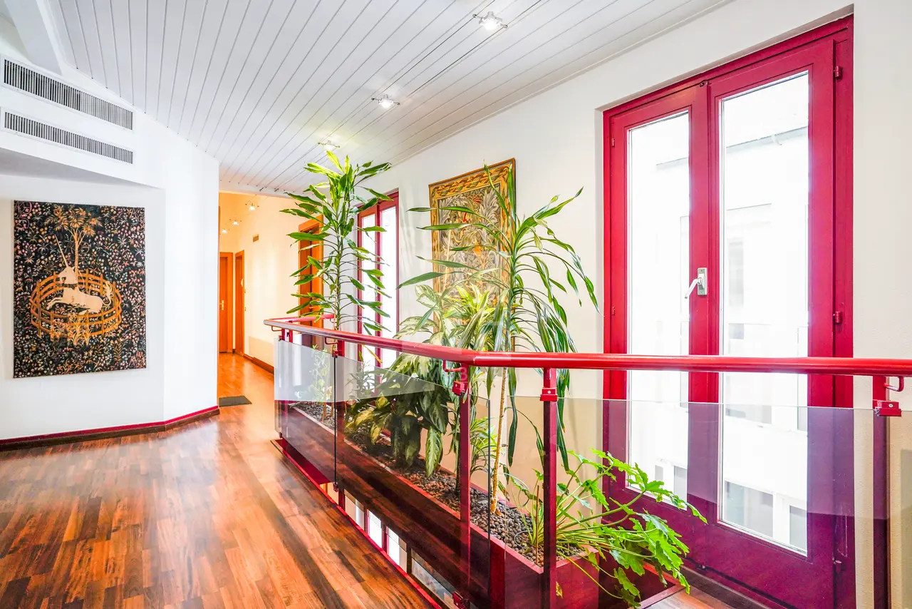 Rue Neuve-du-Molard 8, Molard/Genève, GE - Image 2