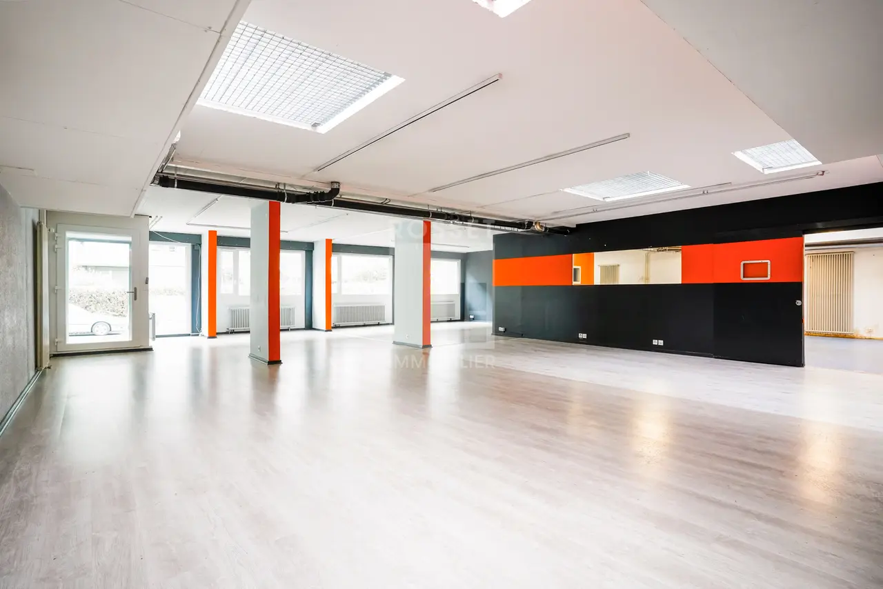 Avenue De-Luserna 46, Charmilles/Vieusseux, GE - Image 2