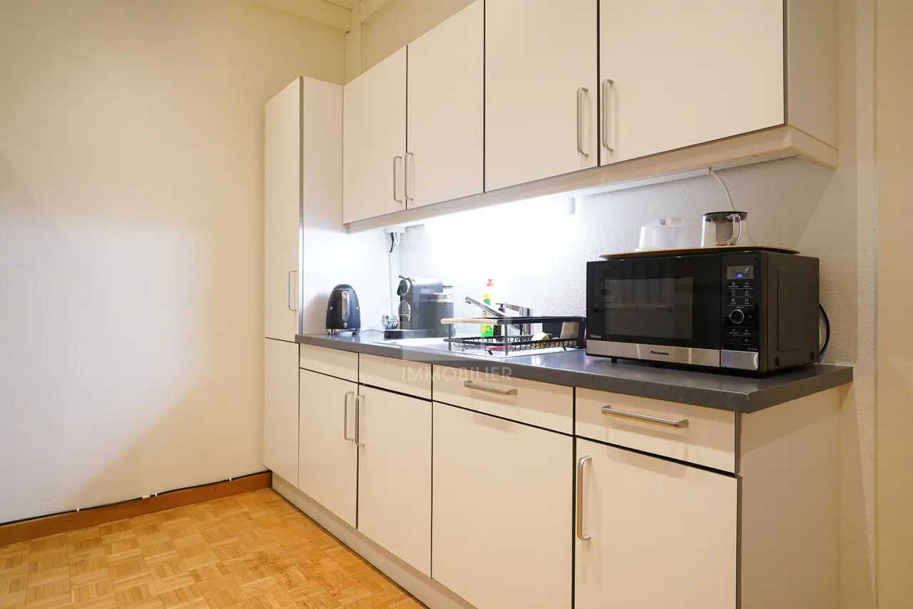 Rue Ami-Lévrier 15, Genève- Jardin des Alpes, GE - Image 6