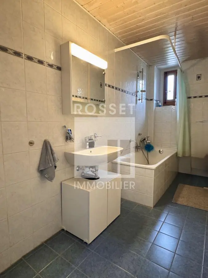 Chavannes-des-Bois, Genève-campagne (rive droite), Rue des Boucheries 20 - Image 2